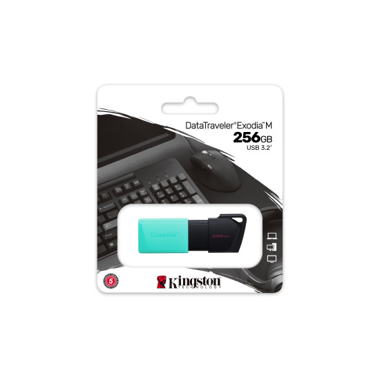 Kingston Technology DataTraveler 256GB USB3.2 Gen1 Exodia M (Black + Teal)