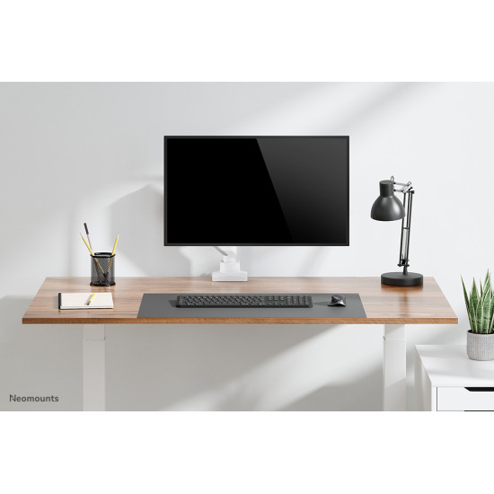 Neomounts desk monitor arm