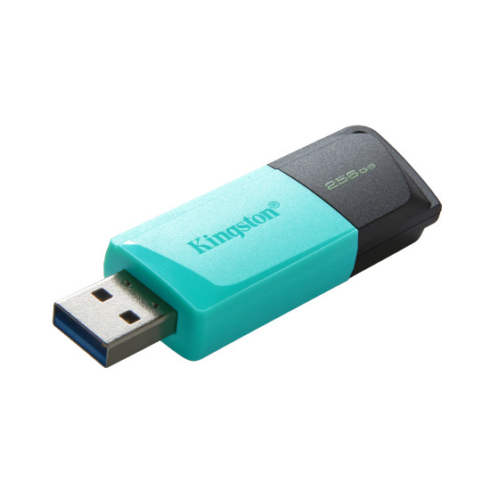 Kingston Technology DataTraveler 256GB USB3.2 Gen1 Exodia M (Black + Teal)