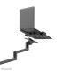 Neomounts laptop desk mount