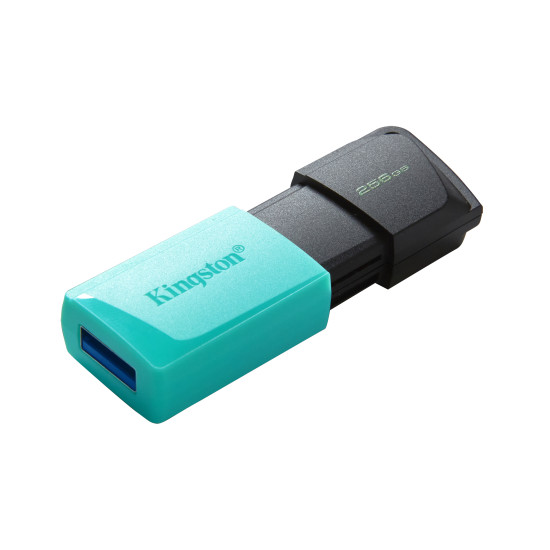 Kingston Technology DataTraveler 256GB USB3.2 Gen1 Exodia M (Black + Teal)