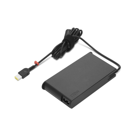 Lenovo GX20Z46287 power adapter/inverter Indoor 170 W Black