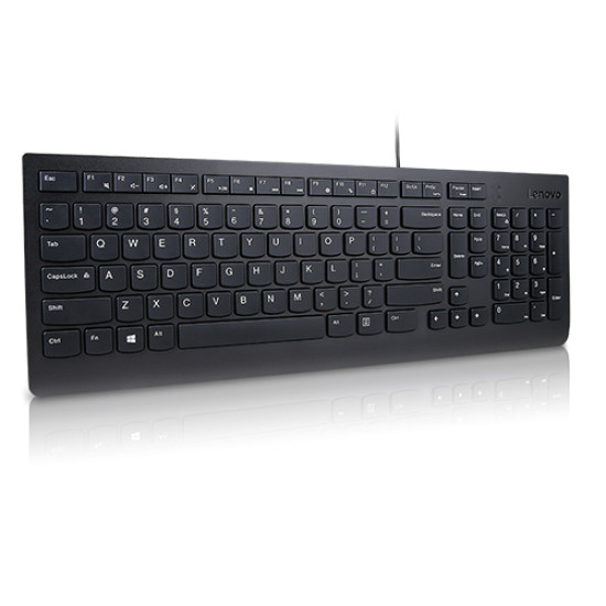 Lenovo Essential keyboard Universal USB QWERTY Finnish, Swedish Black