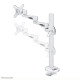 Neomounts desk monitor arm